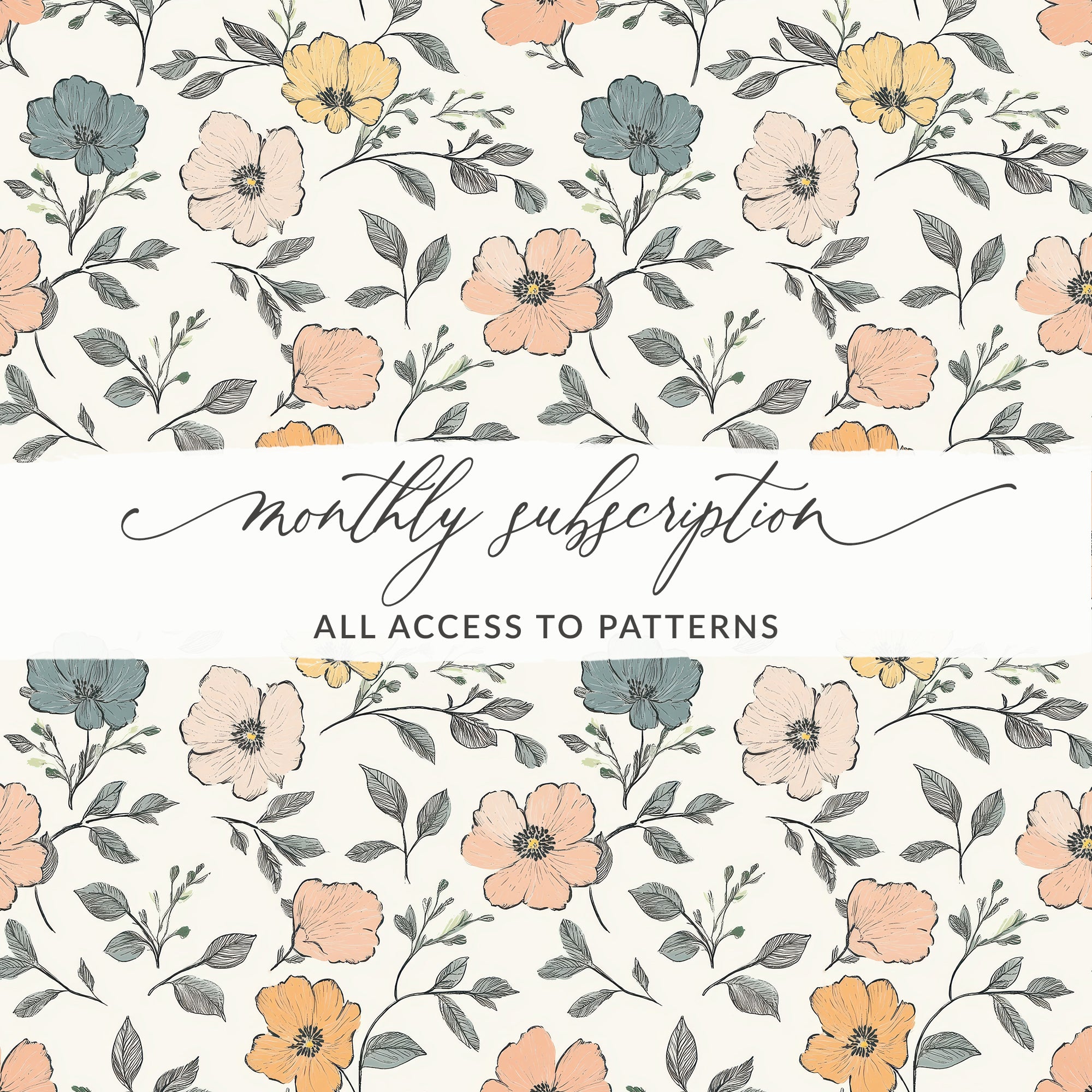 Monthly Subscription - Silver